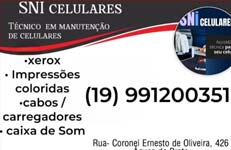 SNI Celulares